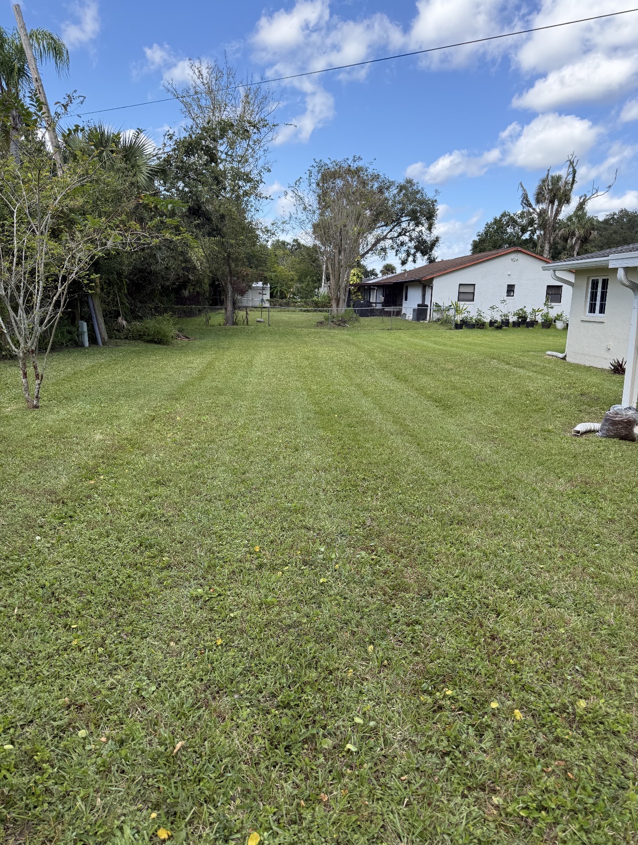 Large backyard mowed with a clean striped finish