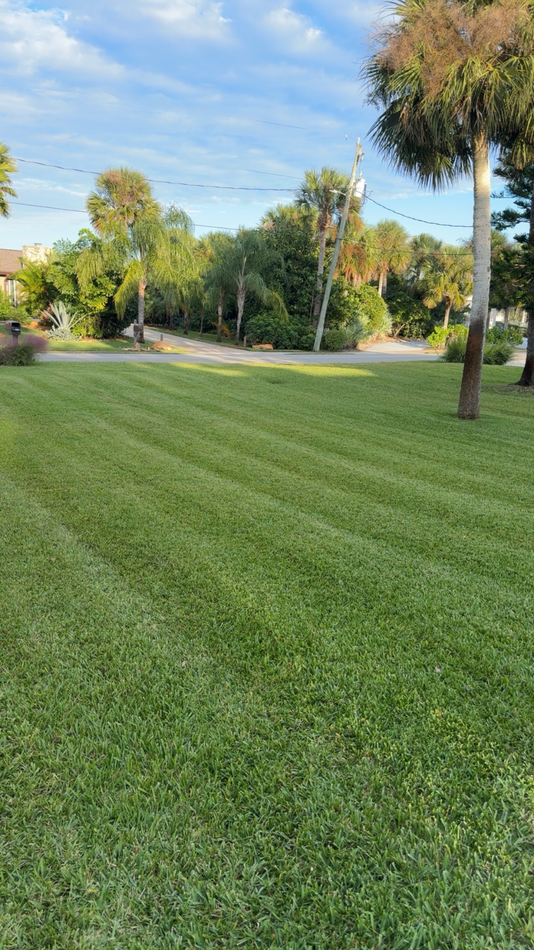 Front lawn striped neatly along the road frontage